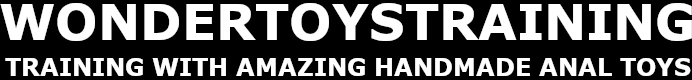Wonder Toys Training Site